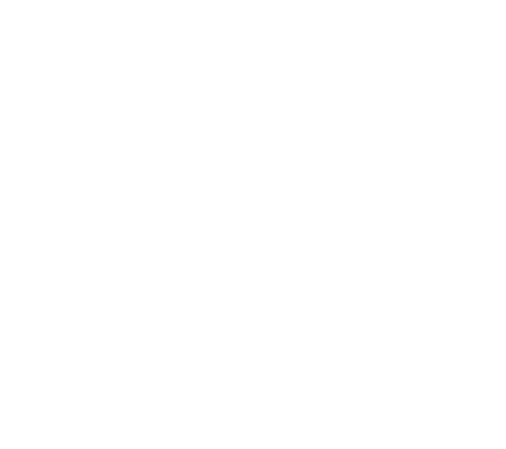 avanas logo weiß