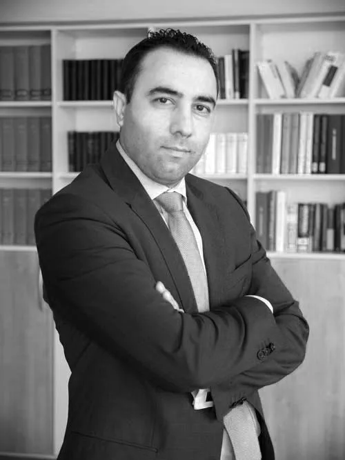 Ulaş Avanaş LL.M. Rechtsanwalt